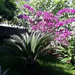 Apartamento Dema