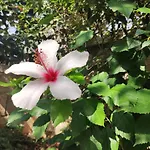 Apartamento Dema Ksamil