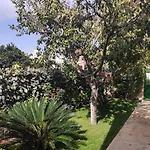 Dema * Ksamil