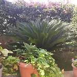 Apartamento Dema